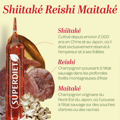 Organické shiitake, reishi, maitake 20 ampuliek