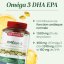 Omega 3 120 kapsúl