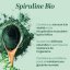 Organický spirulínový prášok