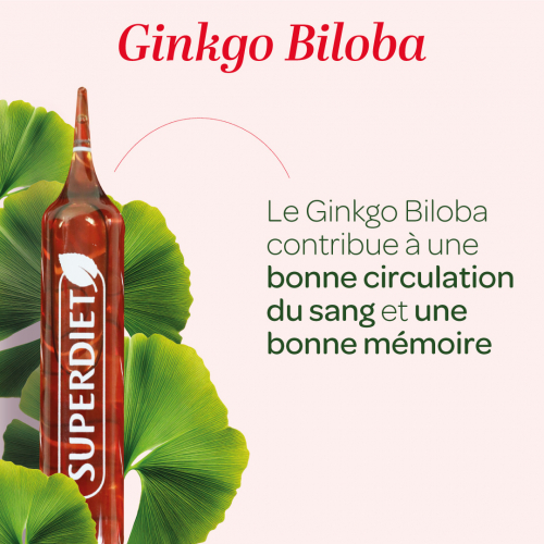 Organická Ginkgo Biloba – 20 ampuliek