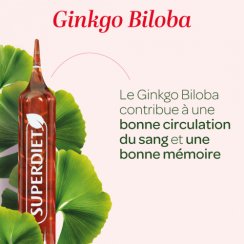 Organická Ginkgo Biloba – 20 ampuliek