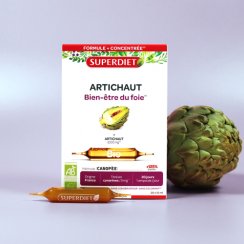 Organický artičok 20 ampuliek